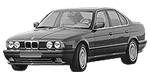 BMW E34 C215C Fault Code